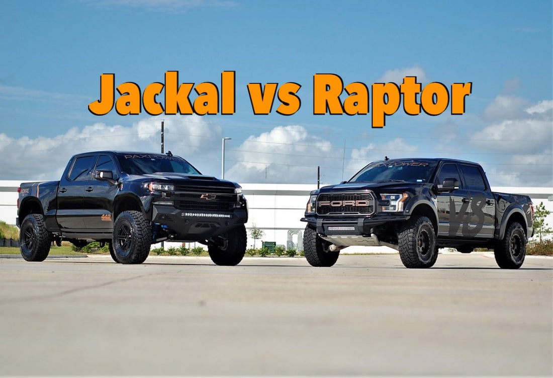 jackalvsraptor2-1320x901